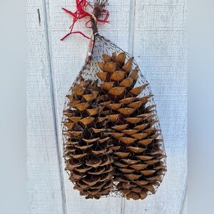 Rooms in Bloom Decorative Pine  Sugar Cones